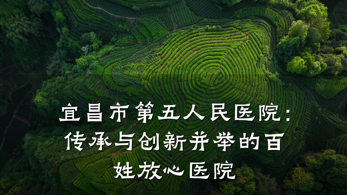 宜昌市第五人民医院:传承与创新并举的百姓放心医院