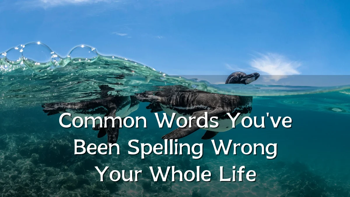 Common Words You've Been Spelling Wrong Your Whole Life