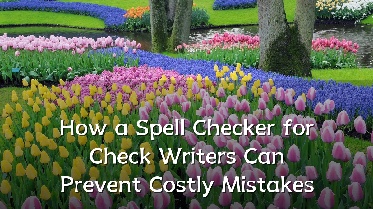 How a Spell Checker for Check Writers Can Prevent Costly Mistakes