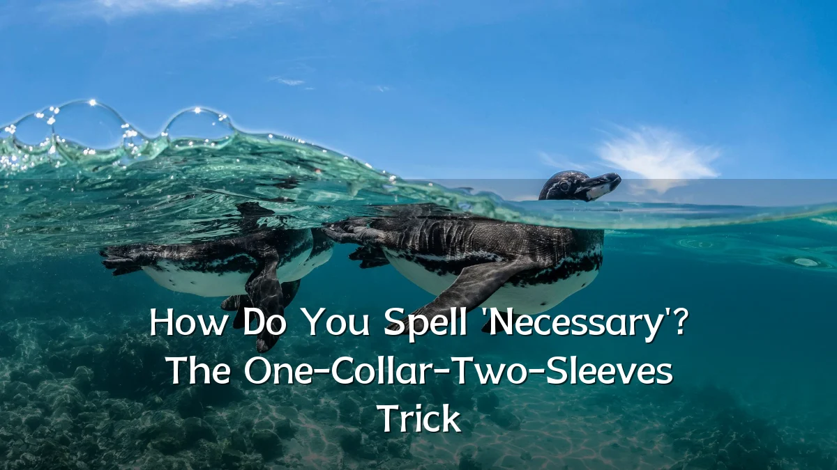 How Do You Spell 'Necessary'? The One-Collar-Two-Sleeves Trick