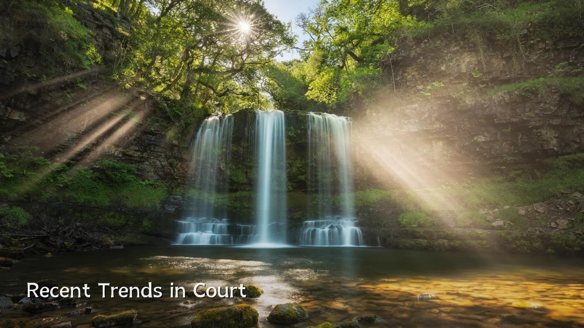 Recent Trends in Court