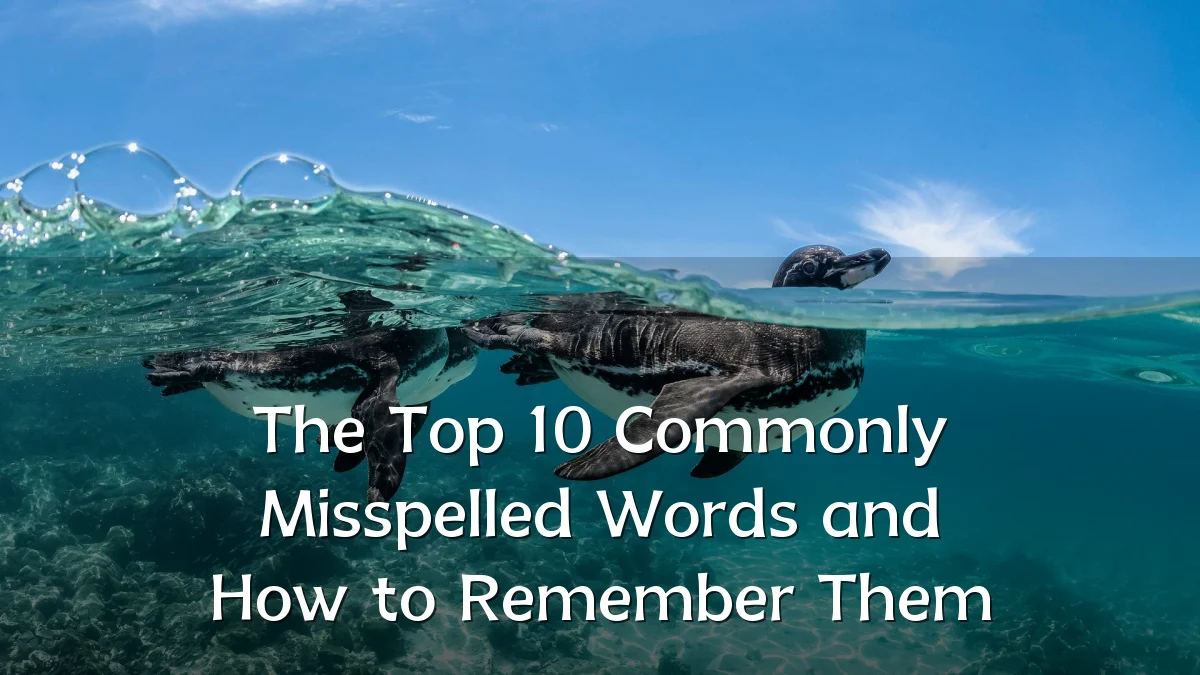 The Top 10 Commonly Misspelled Words and How to Remember Them