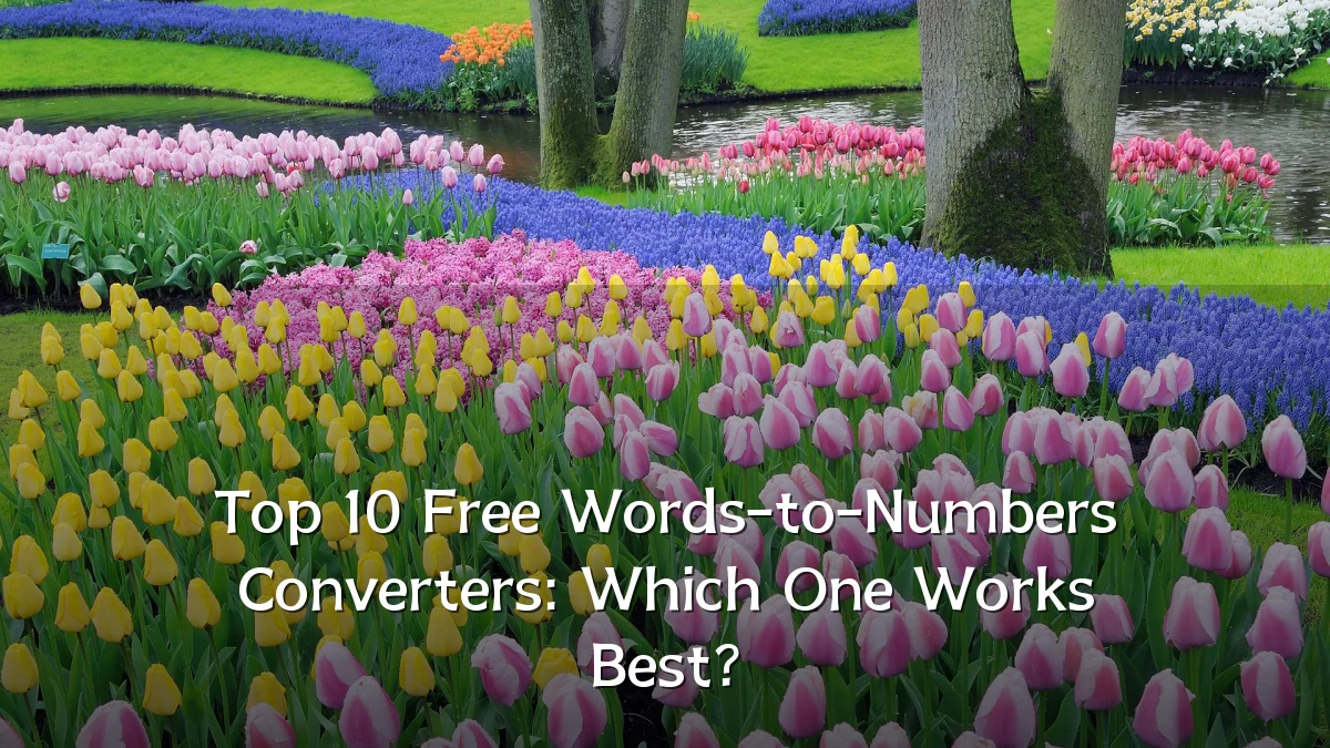 Top 10 Free Words-to-Numbers Converters: Which One Works Best?
