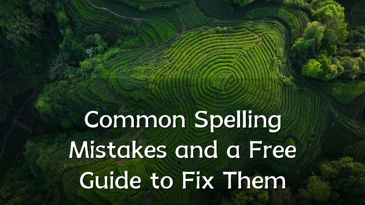 Common Spelling Mistakes and a Free Guide to Fix Them