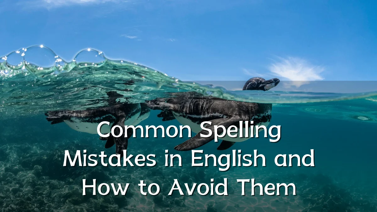 Common Spelling Mistakes in English and How to Avoid Them
