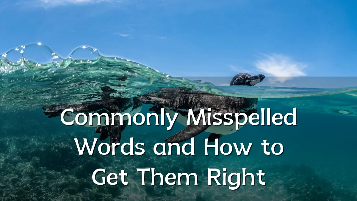 Commonly Misspelled Words and How to Get Them Right