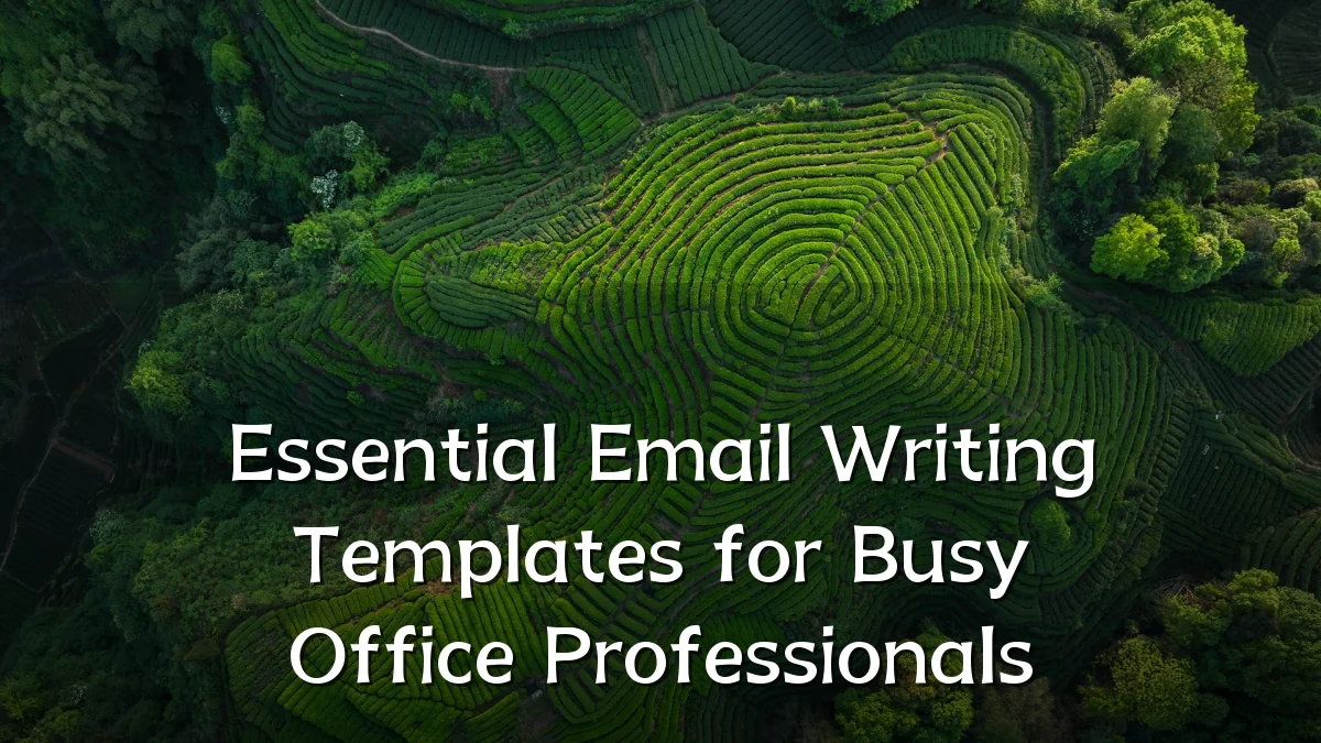 Essential Email Writing Templates for Busy Office Professionals