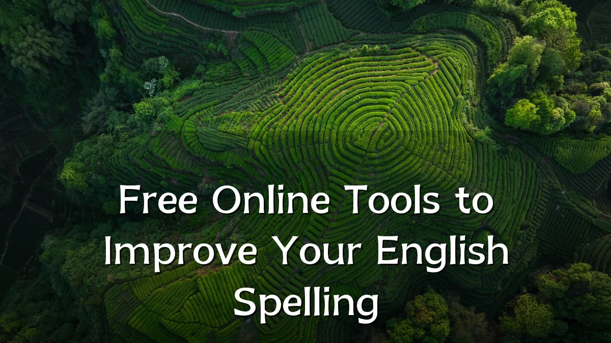 Free Online Tools to Improve Your English Spelling