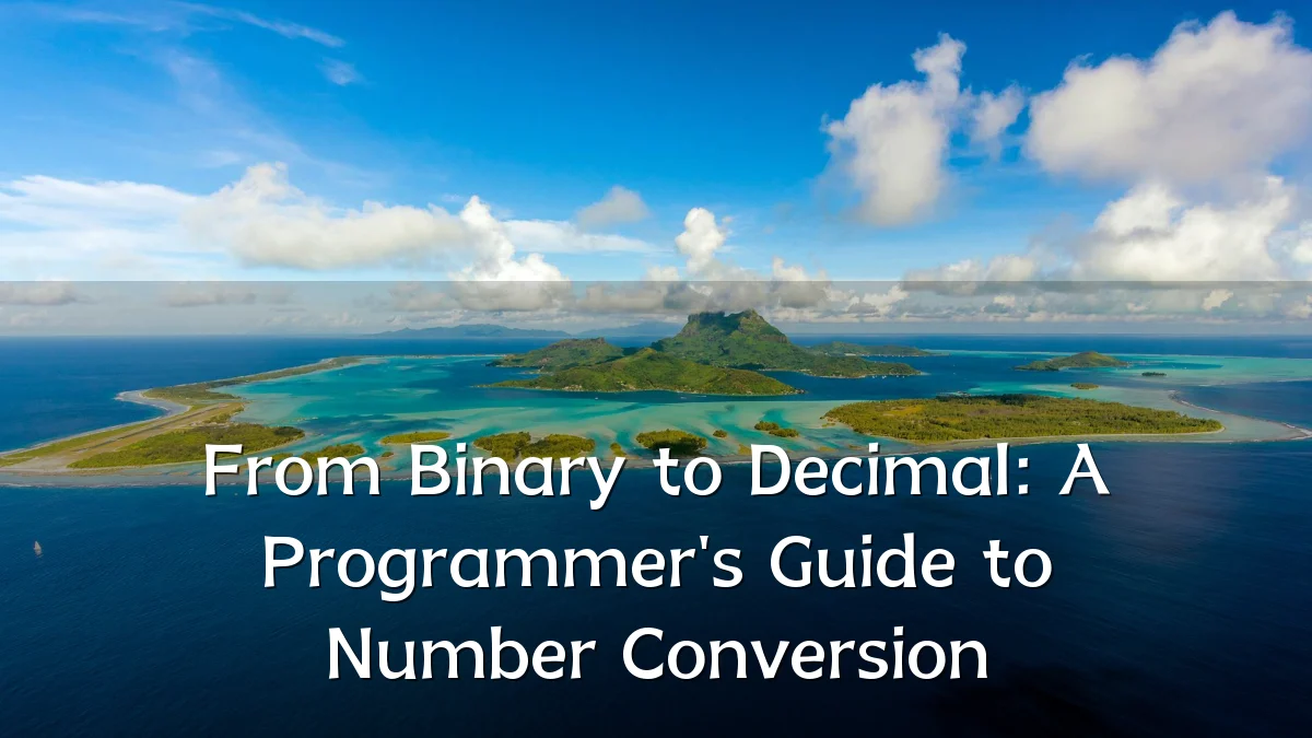 From Binary to Decimal: A Programmer's Guide to Number Conversion
