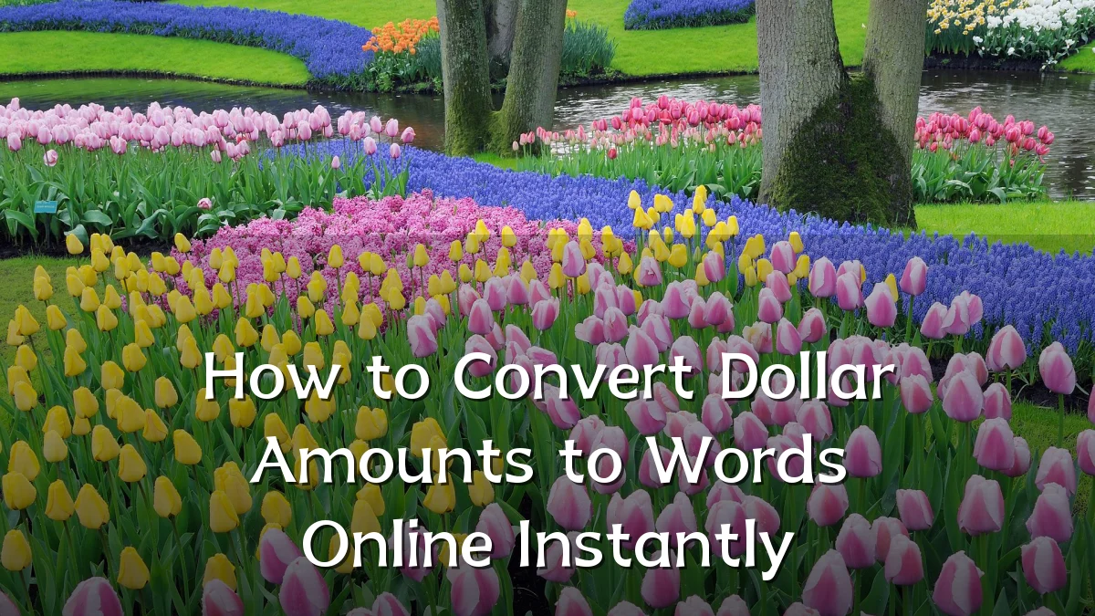 How to Convert Dollar Amounts to Words Online Instantly