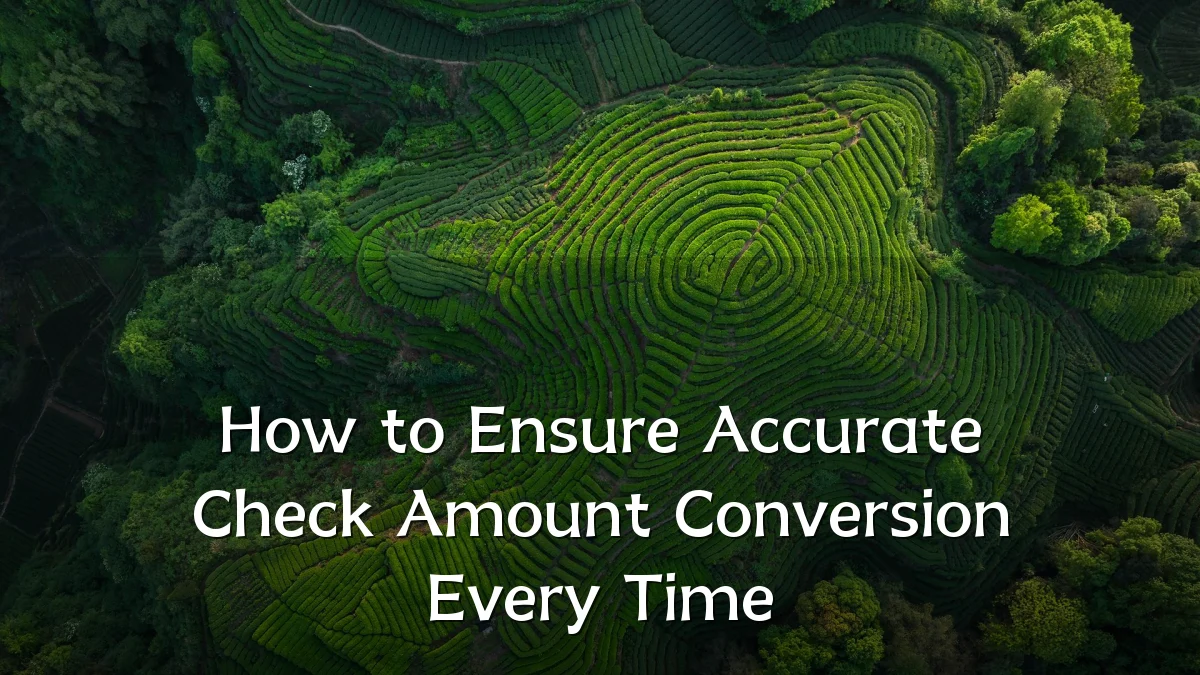 How to Ensure Accurate Check Amount Conversion Every Time