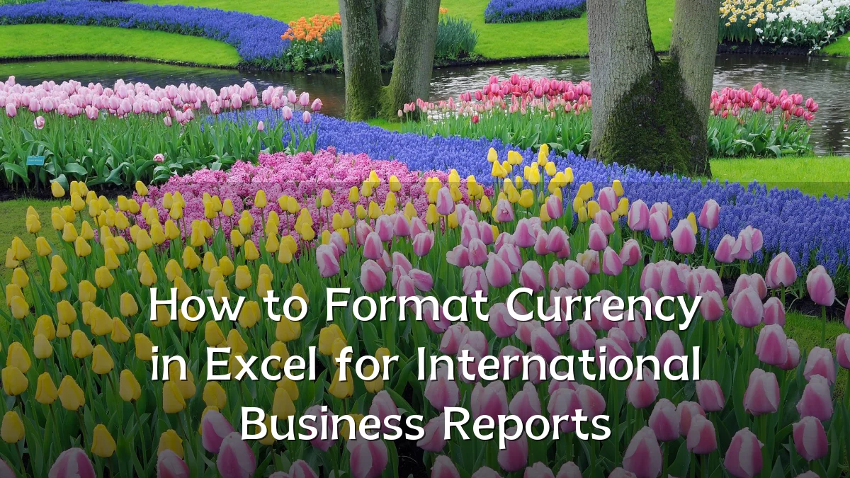 How to Format Currency in Excel for International Business Reports