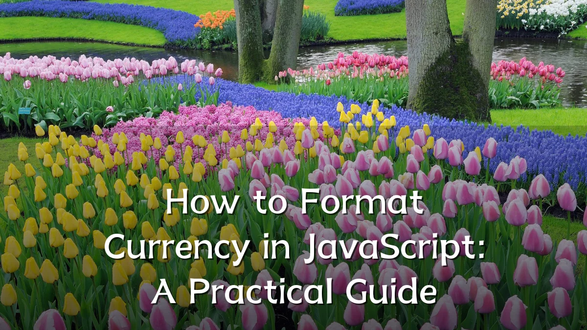 How to Format Currency in JavaScript: A Practical Guide
