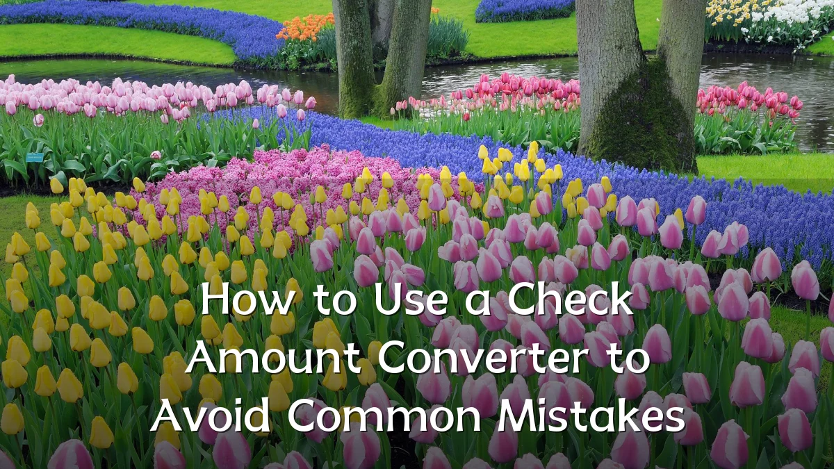 How to Use a Check Amount Converter to Avoid Common Mistakes