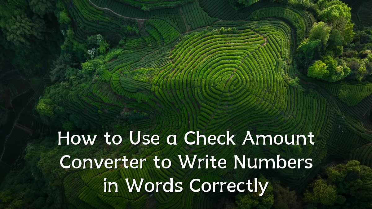 How to Use a Check Amount Converter to Write Numbers in Words Correctly