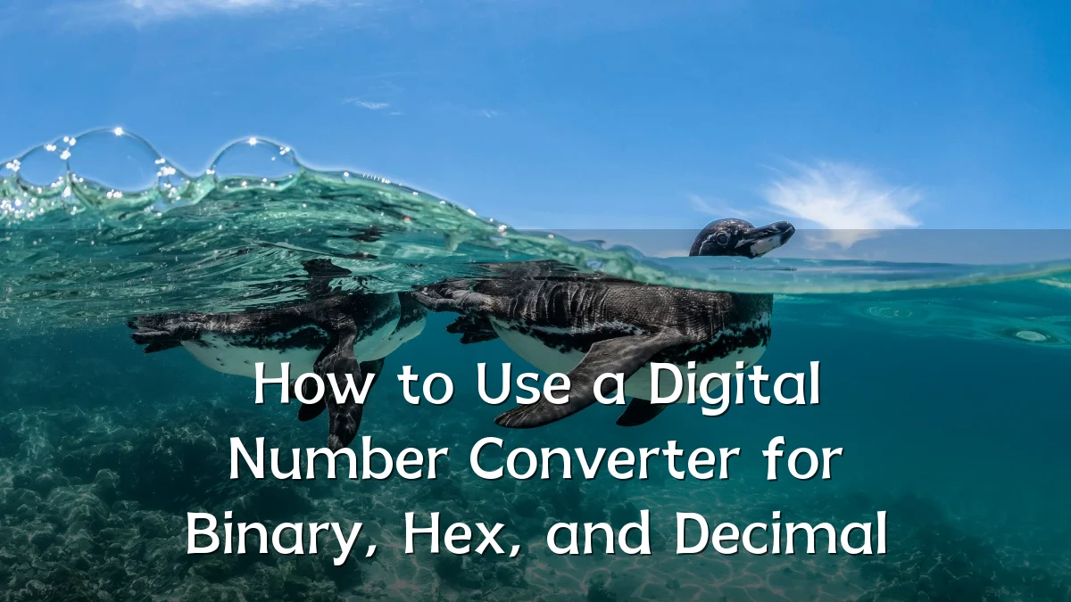 How to Use a Digital Number Converter for Binary, Hex, and Decimal