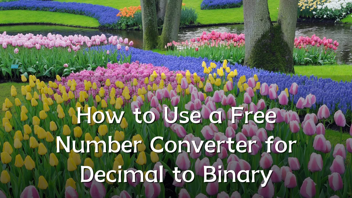 How to Use a Free Number Converter for Decimal to Binary