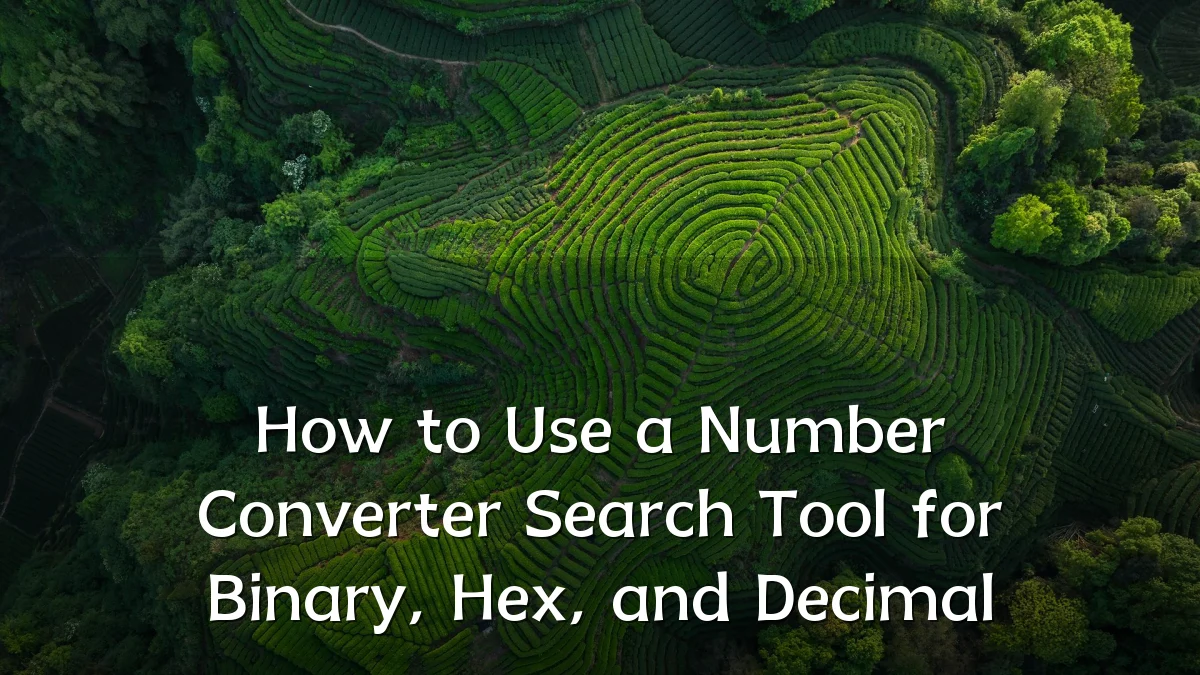 How to Use a Number Converter Search Tool for Binary, Hex, and Decimal