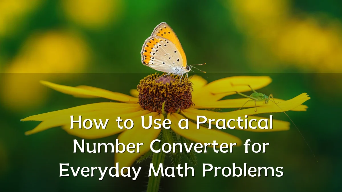 How to Use a Practical Number Converter for Everyday Math Problems