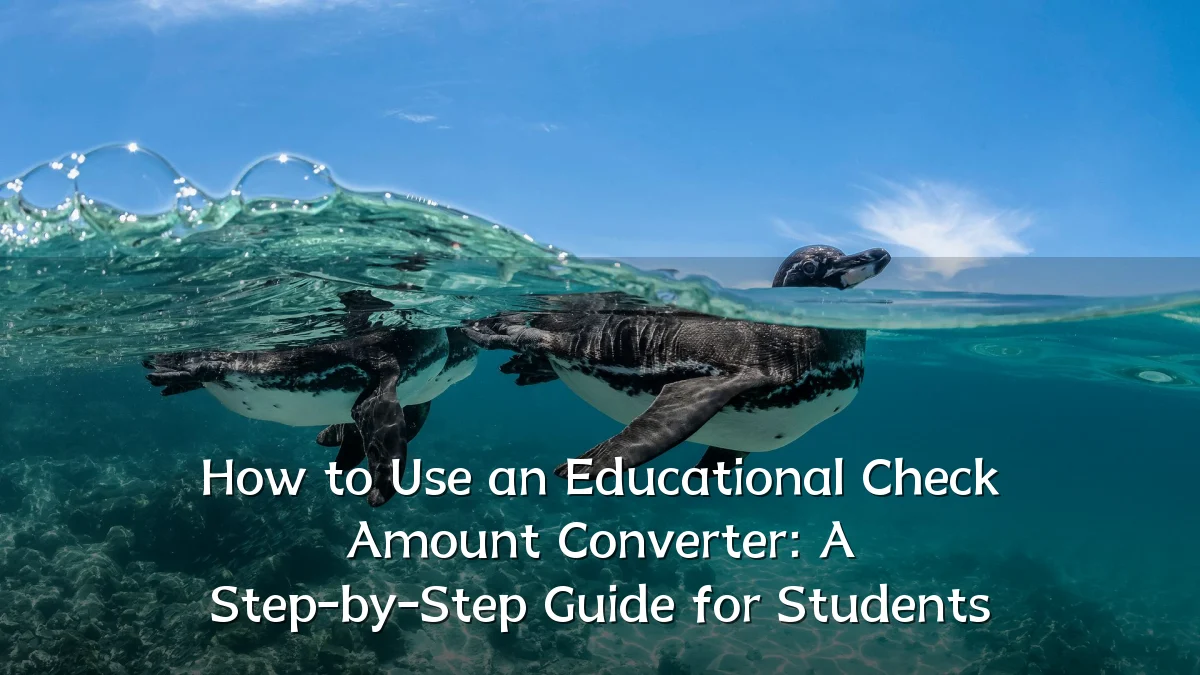 How to Use an Educational Check Amount Converter: A Step-by-Step Guide for Students