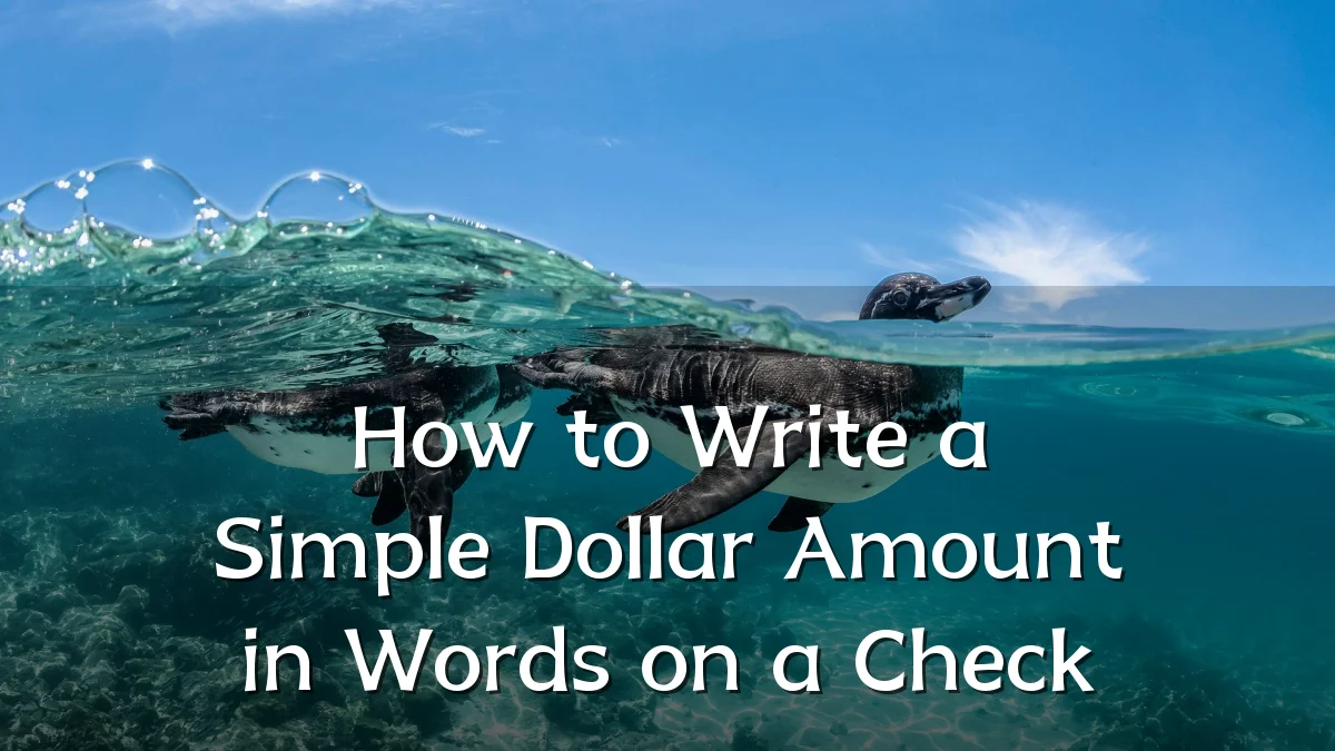 How to Write a Simple Dollar Amount in Words on a Check