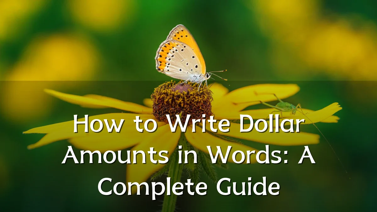 How to Write Dollar Amounts in Words: A Complete Guide