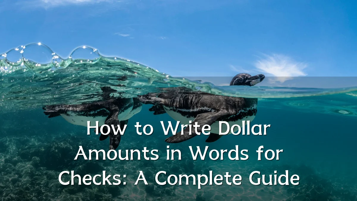 How to Write Dollar Amounts in Words for Checks: A Complete Guide