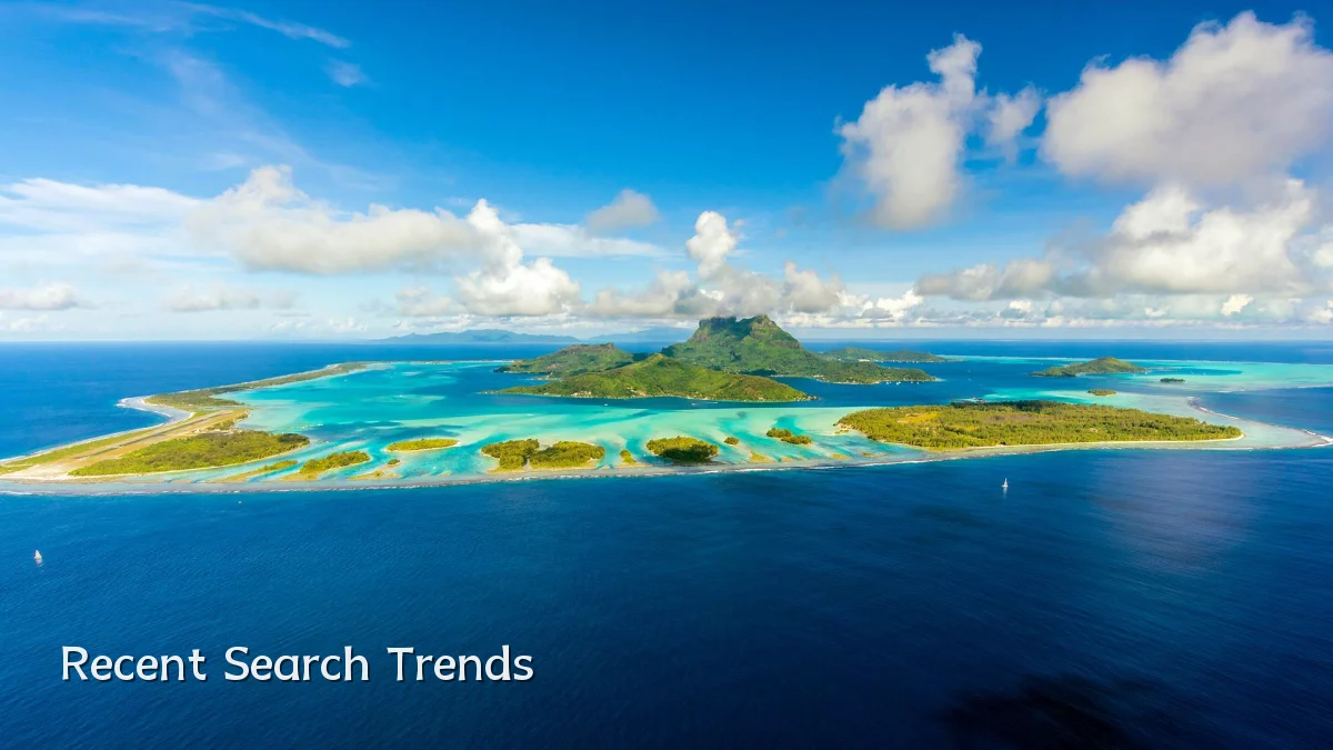 Recent Search Trends