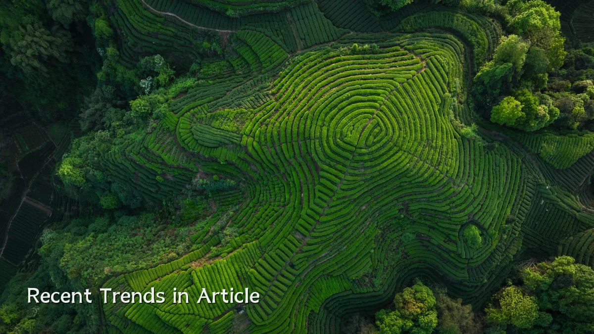 Recent Trends in Article