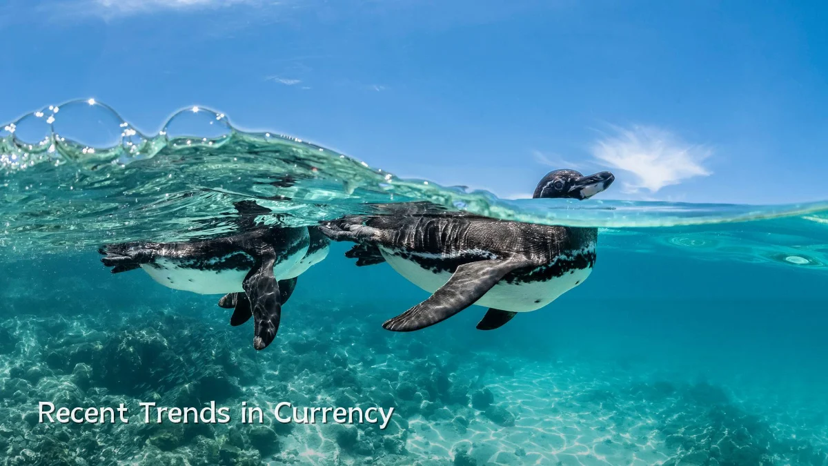 Recent Trends in Currency