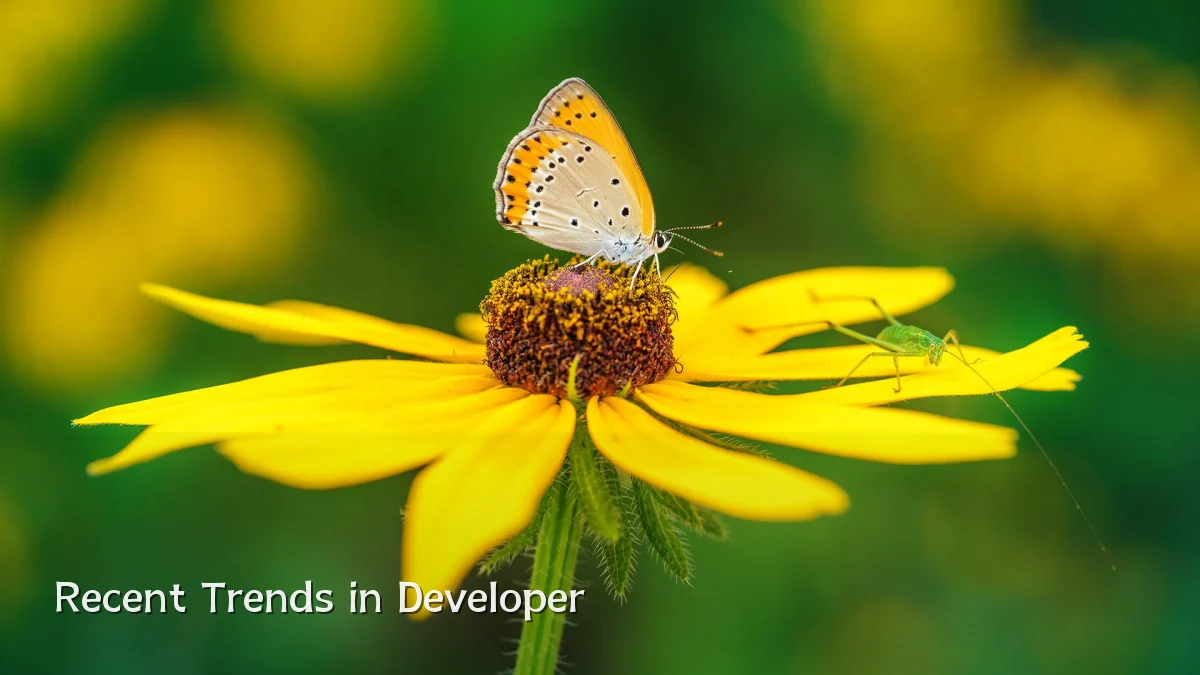 Recent Trends in Developer