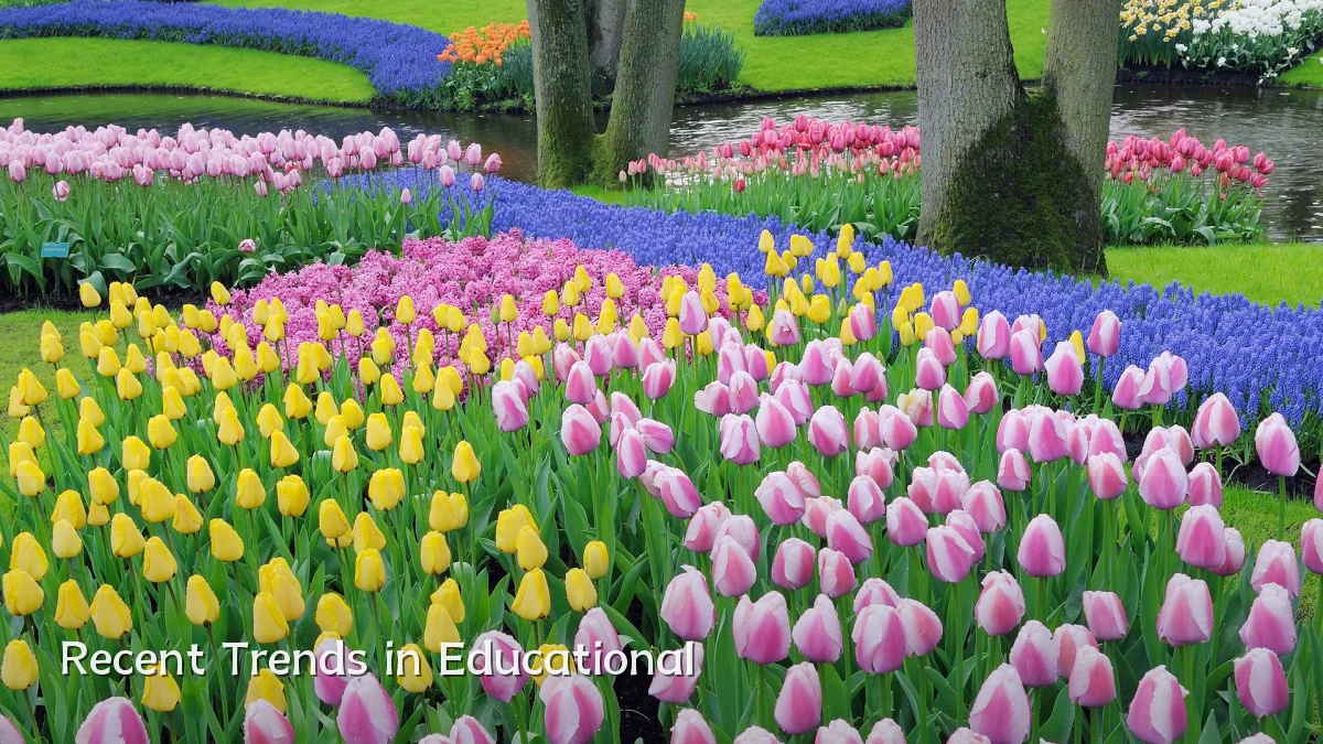 Recent Trends in Educational