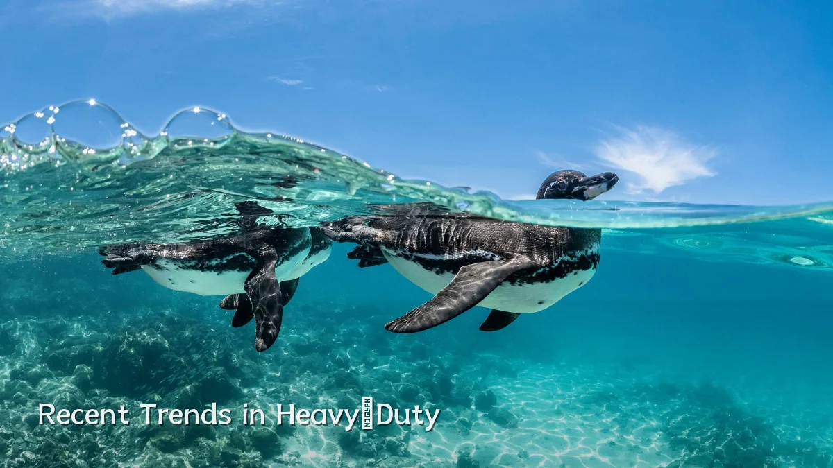 Recent Trends in Heavy‑Duty