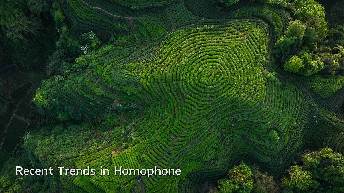 Recent Trends in Homophone