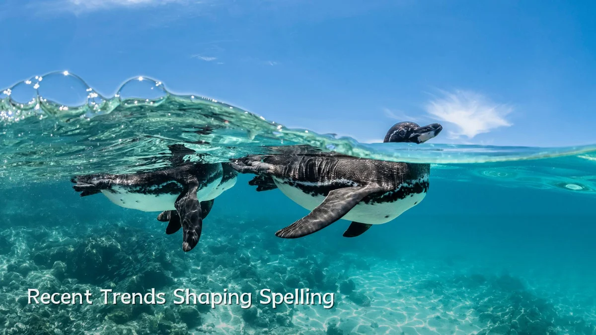 Recent Trends Shaping Spelling