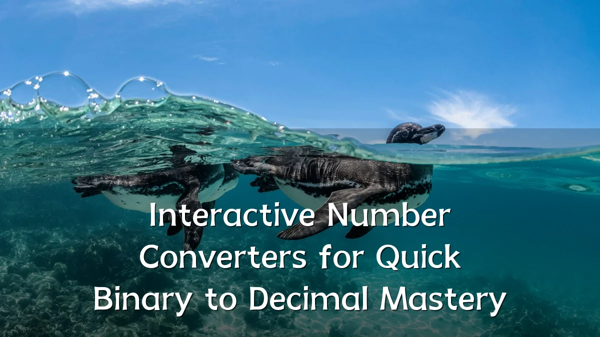 Interactive Number Converters for Quick Binary to Decimal Mastery