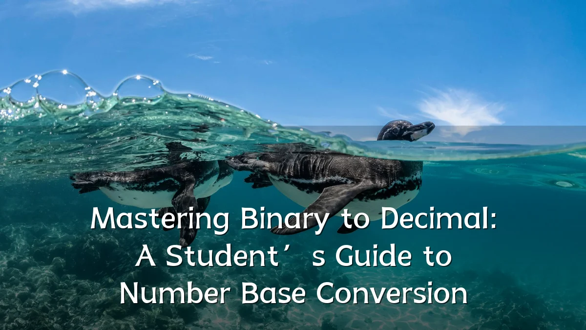 Mastering Binary to Decimal: A Student’s Guide to Number Base Conversion