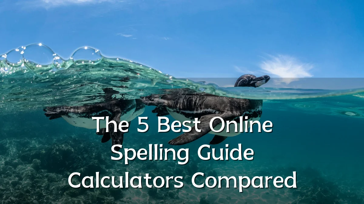 The 5 Best Online Spelling Guide Calculators Compared