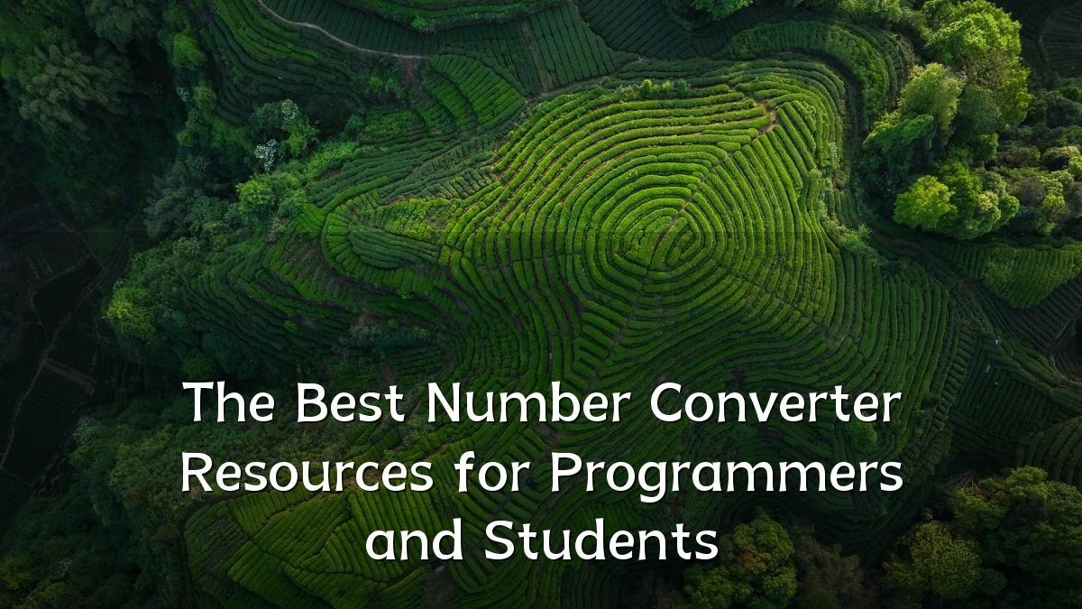 The Best Number Converter Resources for Programmers and Students