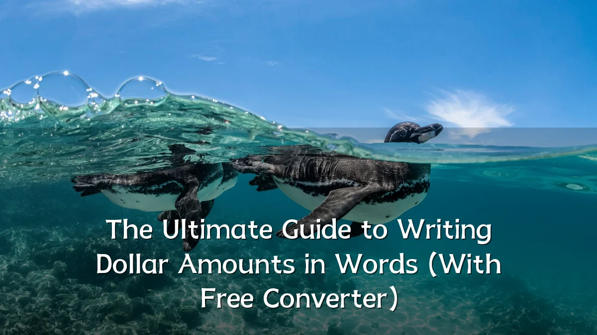 The Ultimate Guide to Writing Dollar Amounts in Words (With Free Converter)