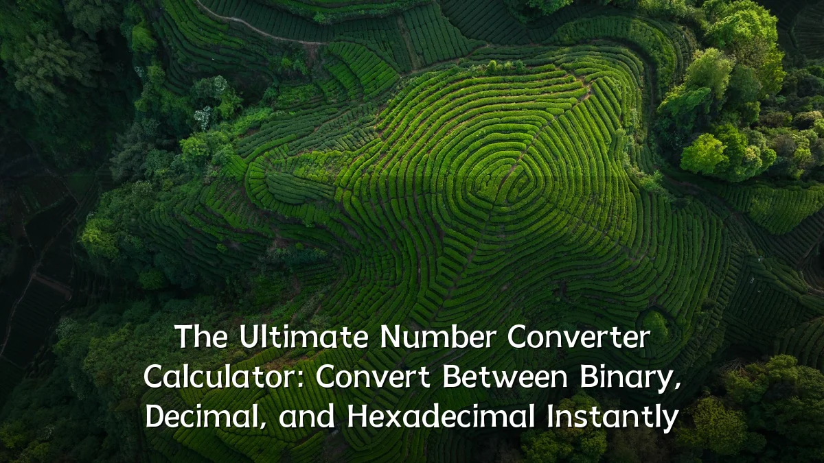 The Ultimate Number Converter Calculator: Convert Between Binary, Decimal, and Hexadecimal Instantly