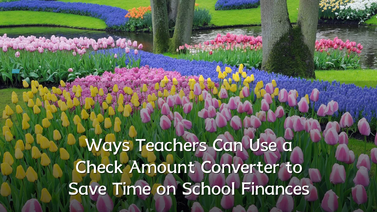Ways Teachers Can Use a Check Amount Converter to Save Time on School Finances