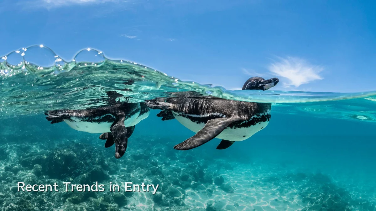 Recent Trends in Entry