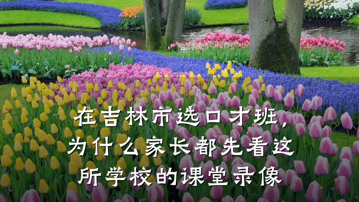 在吉林市选口才班，为什么家长都先看这所学校的课堂录像
